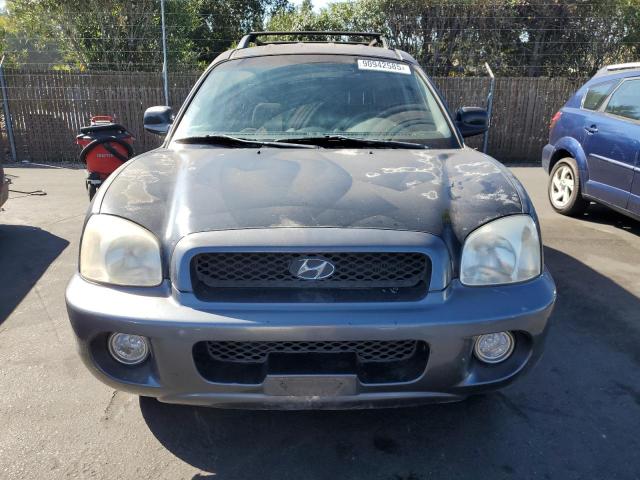 2003 HYUNDAI SANTA FE G - Other View