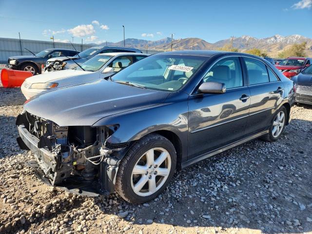 Global Auto Auctions: 2009 TOYOTA CAMRY BASE