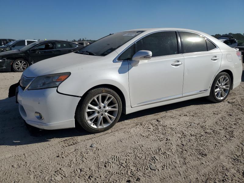 LEXUS HS 250H