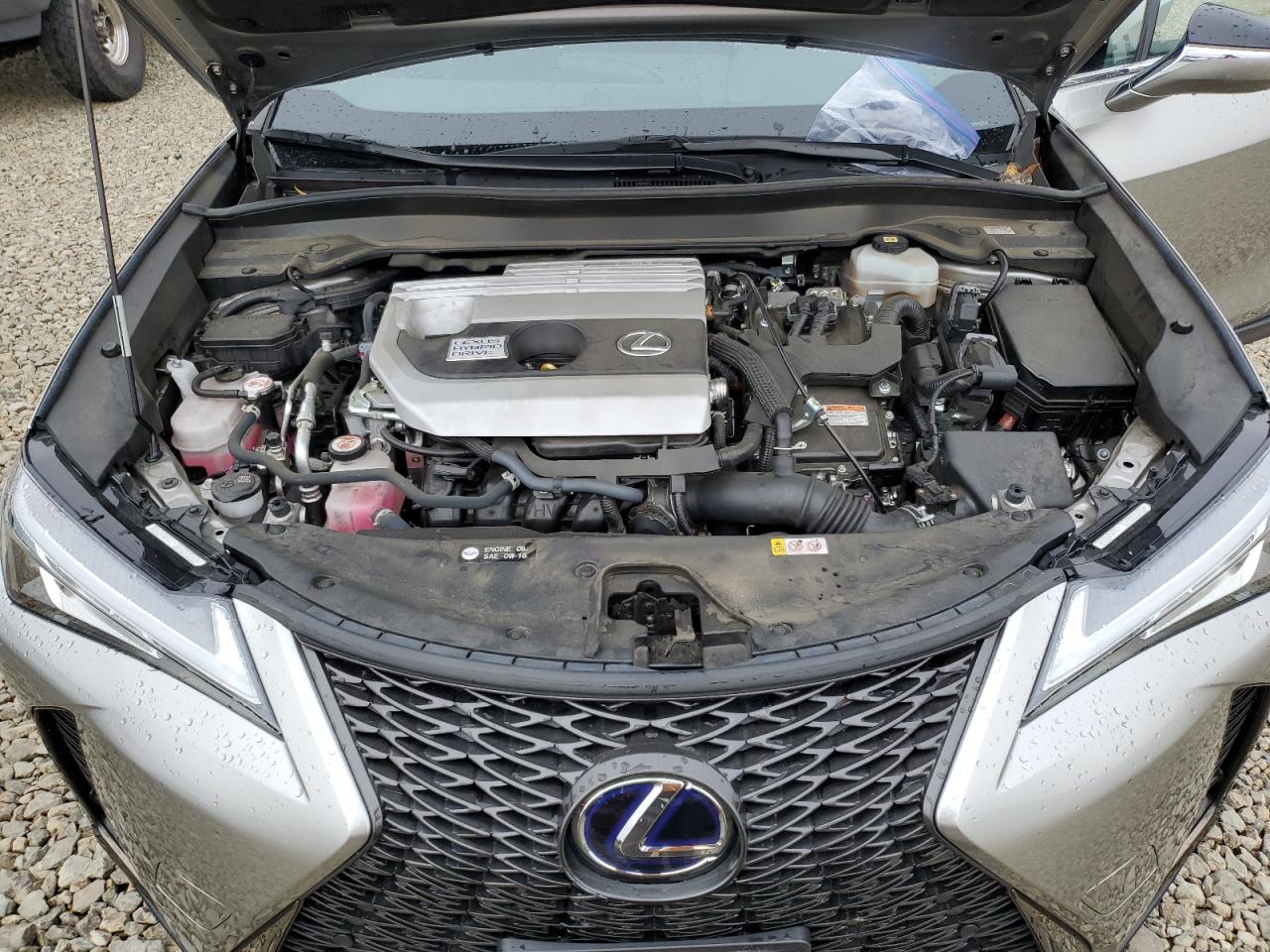 LEXUS UX 250H