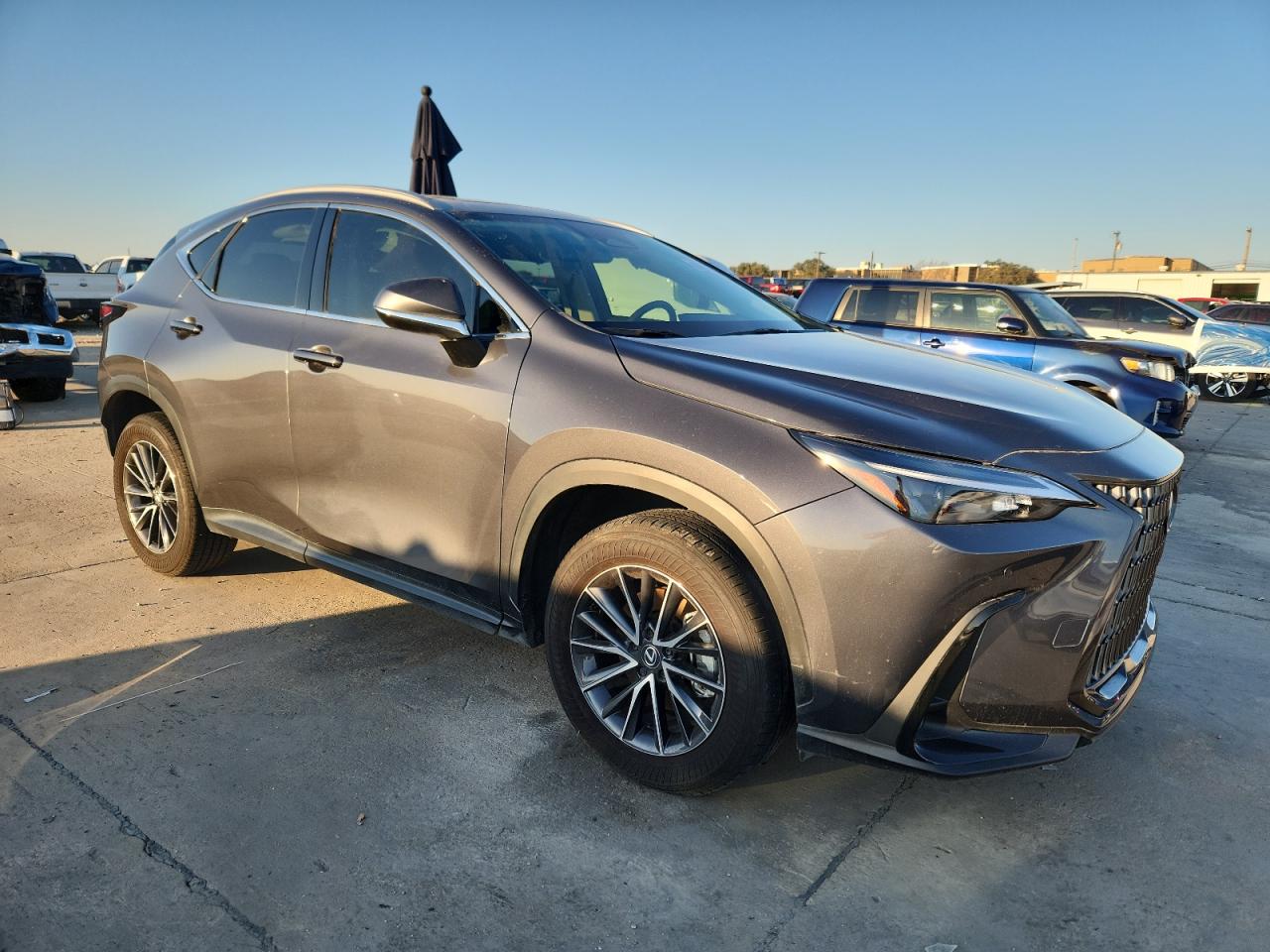 LEXUS NX 250 PREMIUM