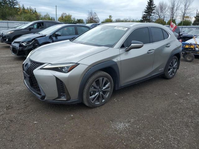 LEXUS UX 250H