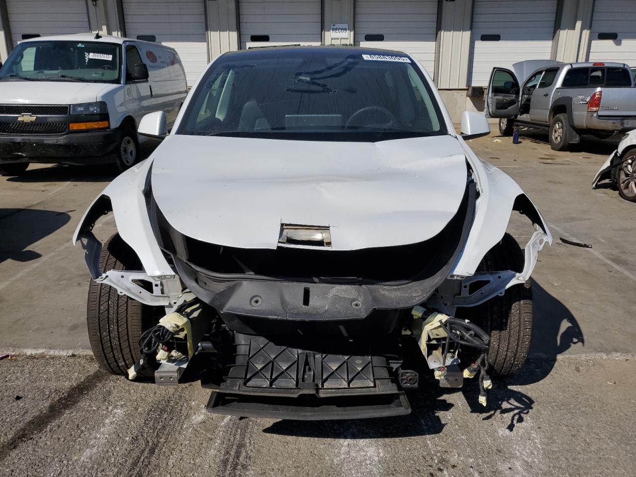 Lot #3315970133 2023 TESLA MODEL Y