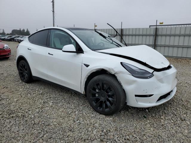 2023 TESLA MODEL Y #3311762308