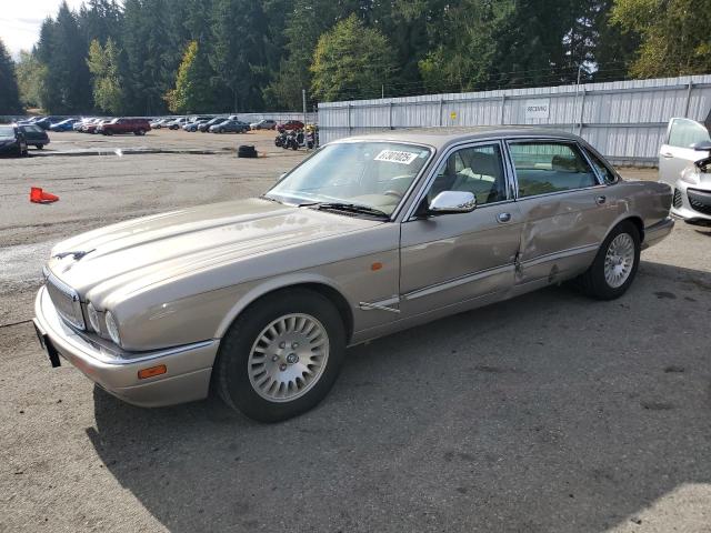 JAGUAR VANDENPLAS