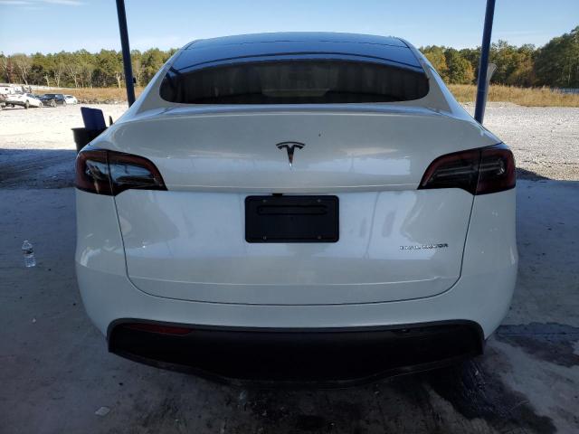 2023 TESLA MODEL Y - 7SAYGDEEXPA181291