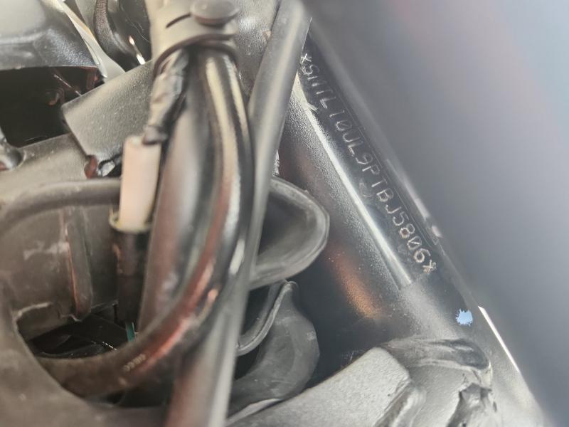 2023 TRIUMPH MOTORCYCLE TRIDENT 66 SMTL10UL9PTBJ5806