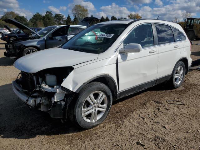 Global Auto Auctions: 2010 HONDA CR-V EXL