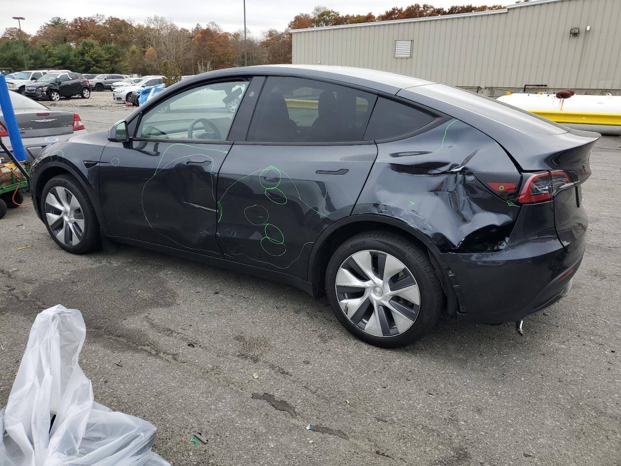 Lot #3302607758 2024 TESLA MODEL Y