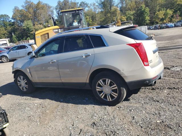 2011 CADILLAC SRX LUXURY - 3GYFNDEY9BS558484
