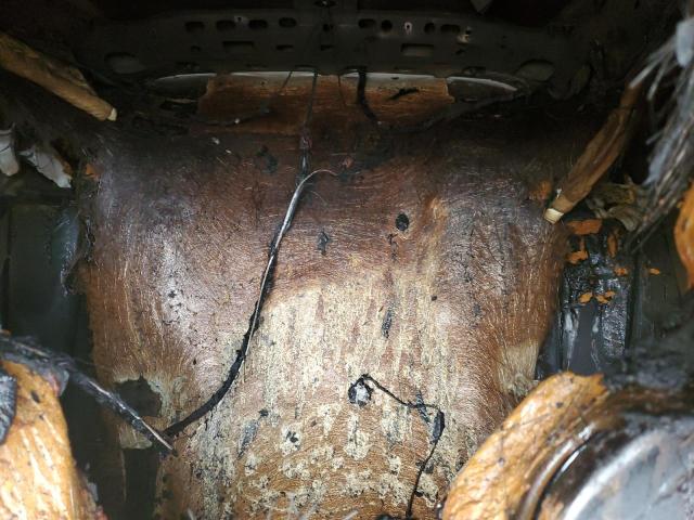 2016 BUICK ENCORE KL4CJESB7GB680879