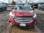 Lot #3304766939 2017 FORD ESCAPE SE
