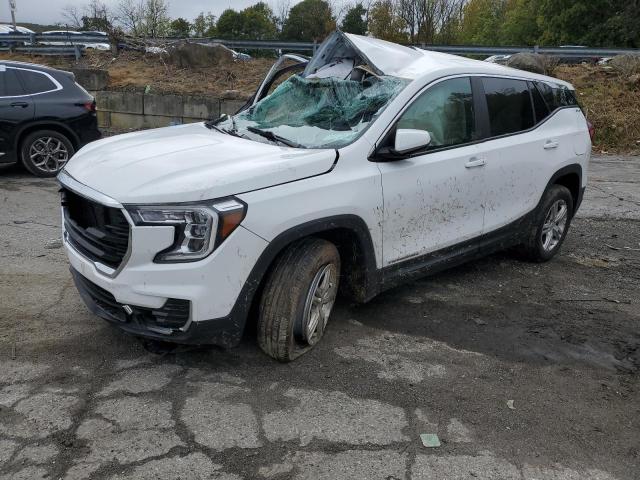 Global Auto Auctions: 2022 GMC TERRAIN SL