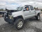 Lot #3293525416 2008 TOYOTA TACOMA DOU