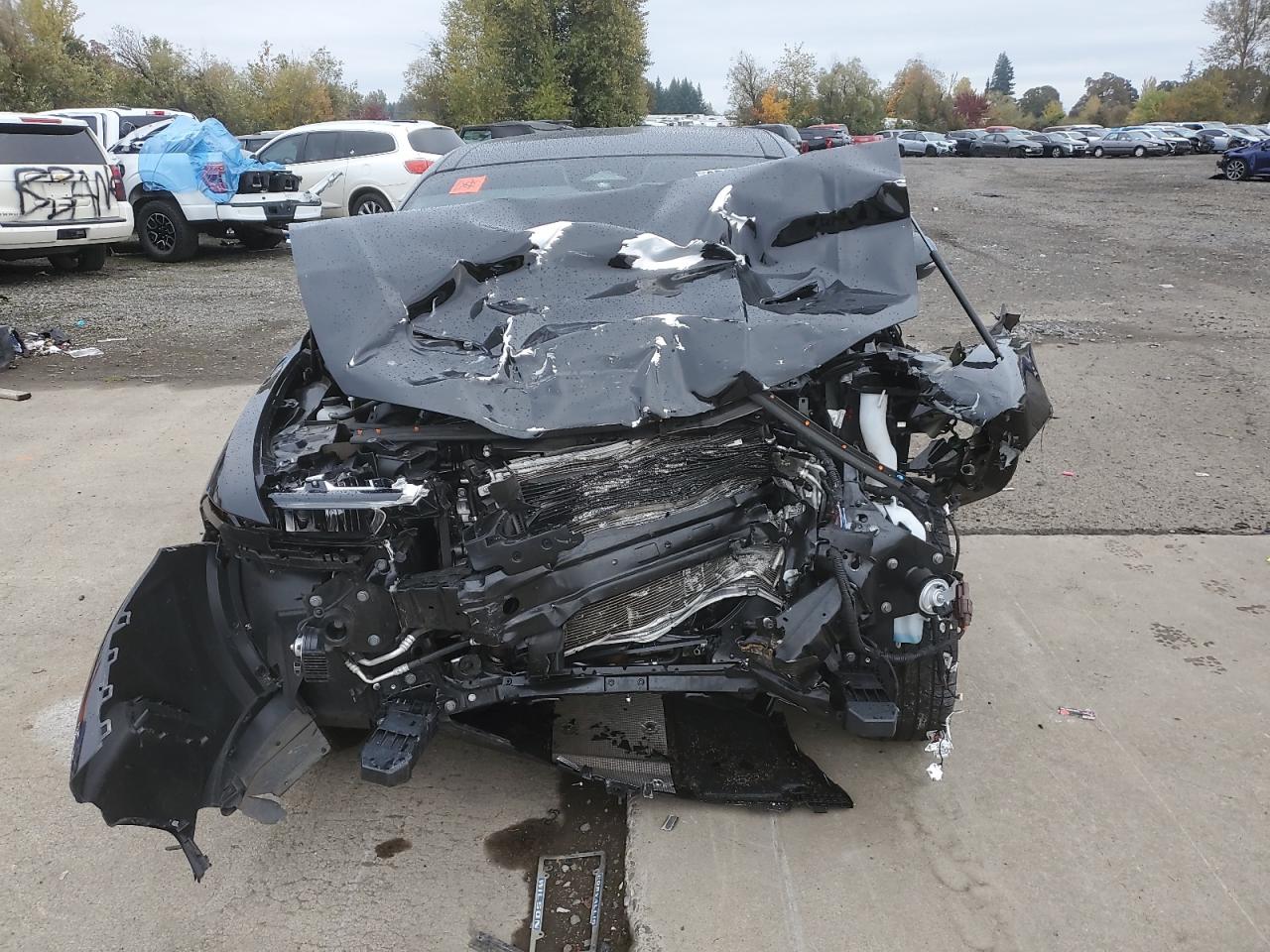 DODGE HORNET GT PLUS