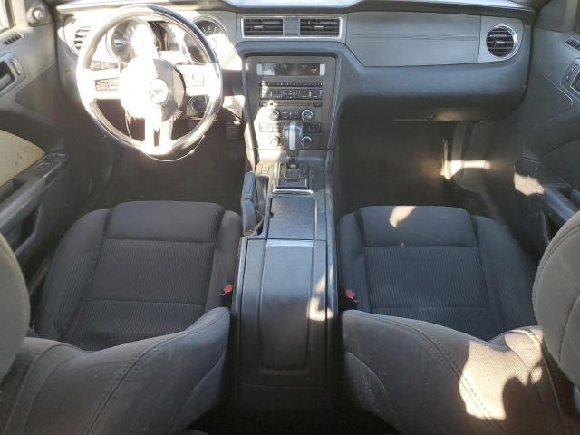 2013 FORD MUSTANG - 1ZVBP8EM2D5229705