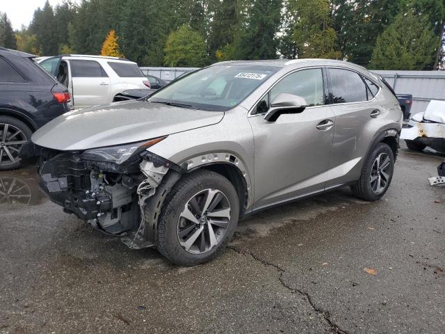 LEXUS NX 300 BAS