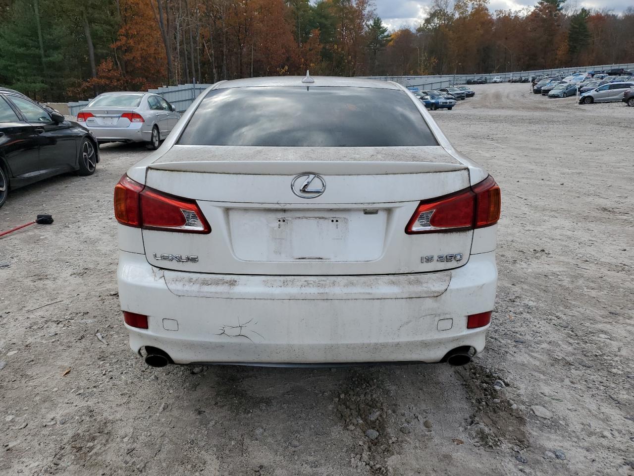 Lot #3280369972 2009 LEXUS IS 250