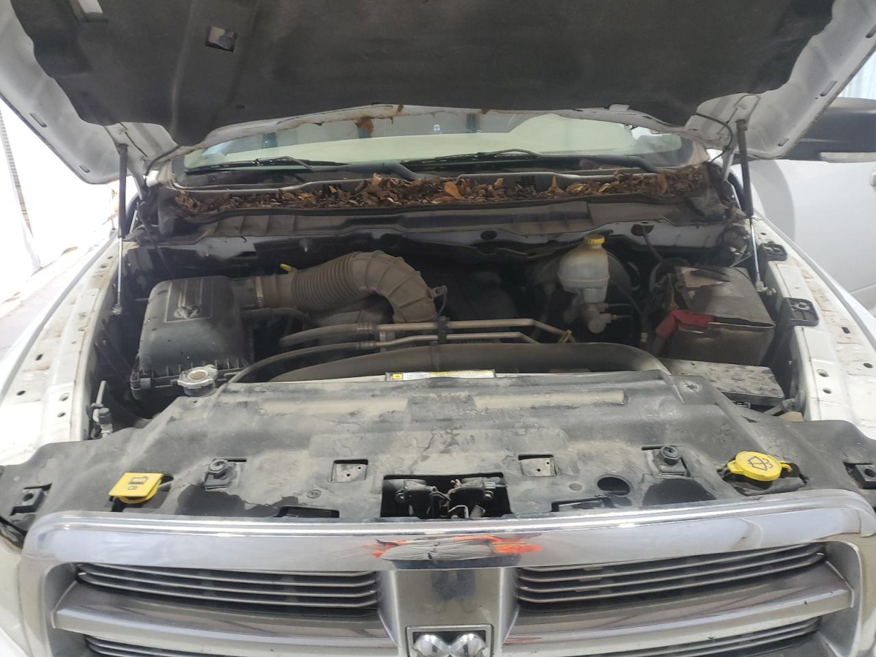 Lot #3311453247 2010 DODGE RAM 1500