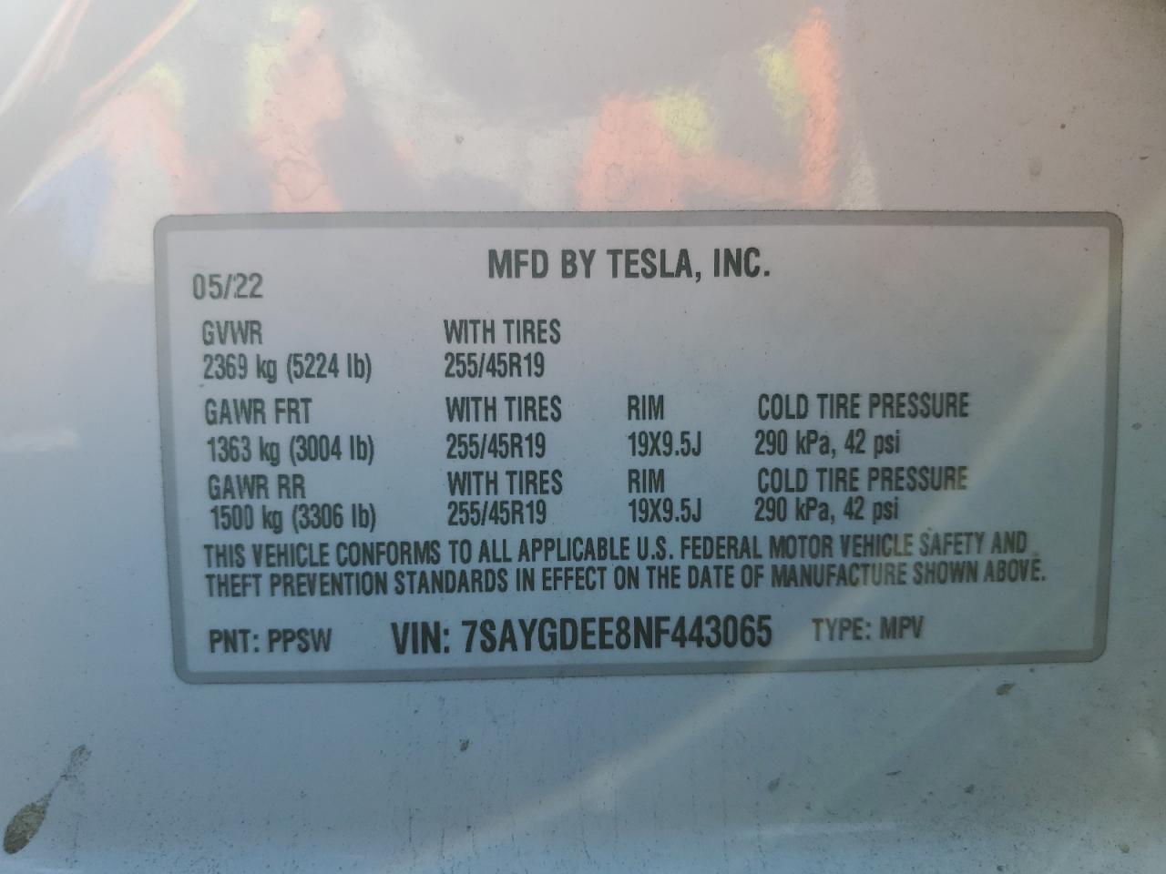 TESLA MODEL Y