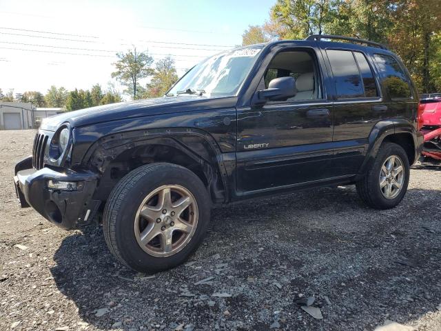 Global Auto Auctions: 2004 JEEP LIBERTY LI