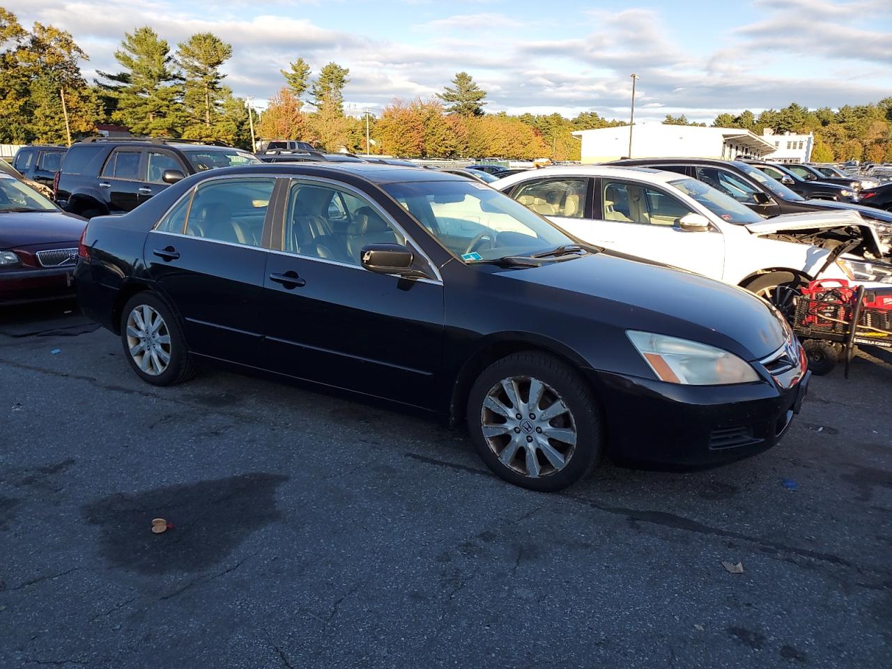 Lot #3284547429 2007 HONDA ACCORD EX