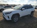 Lot #3294714144 2024 TOYOTA RAV4 XLE