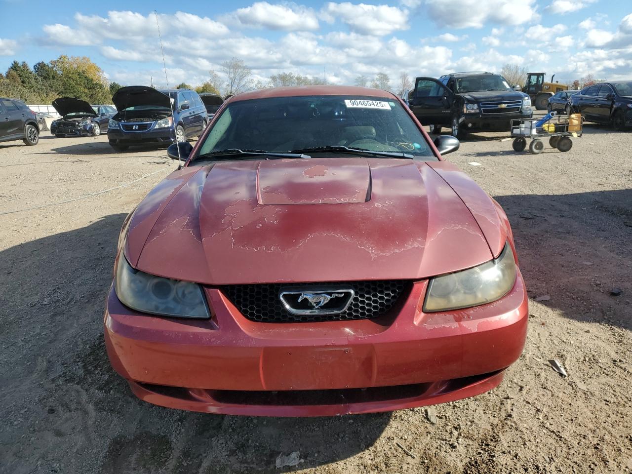 Lot #3290373774 2003 FORD MUSTANG