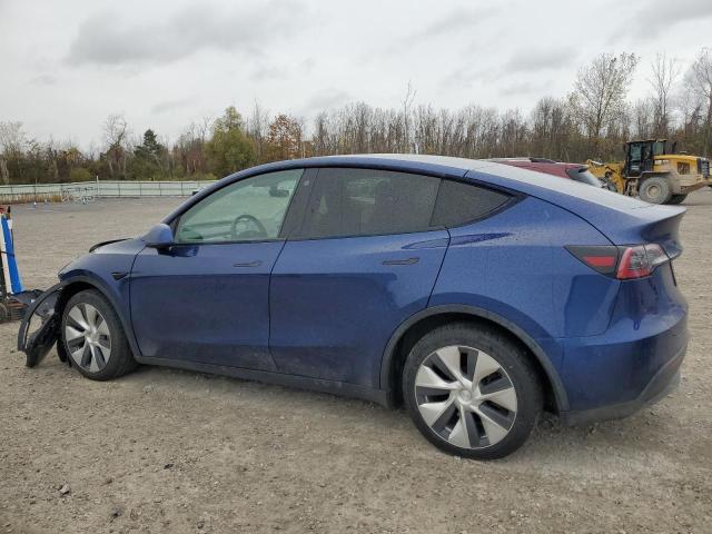 2021 TESLA MODEL Y #3302653053