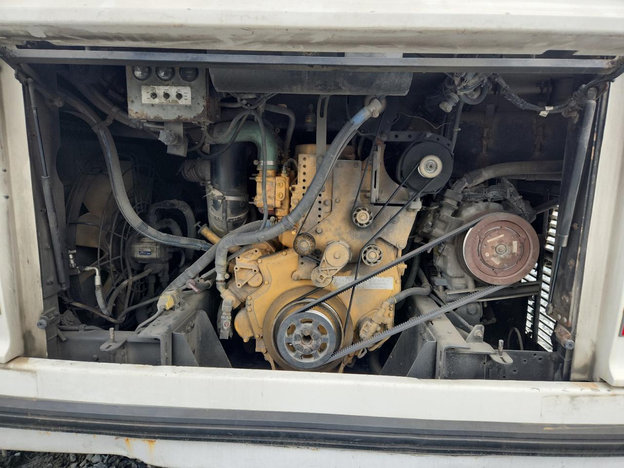 Lot #3275683783 2004 BLUE BLUEBIRD