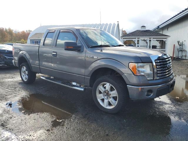 2010 FORD F150 SUPER - 1FTEX1E81AKA19491