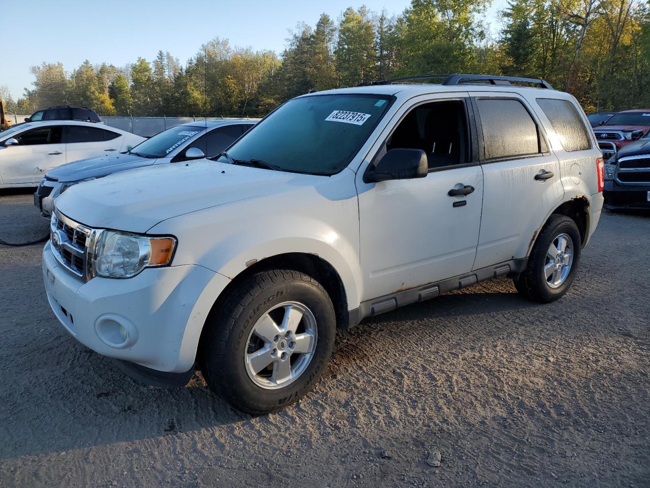 FORD ESCAPE XLT