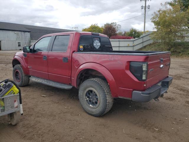 2014 FORD F150 SVT R - 1FTFW1R67EFB64145