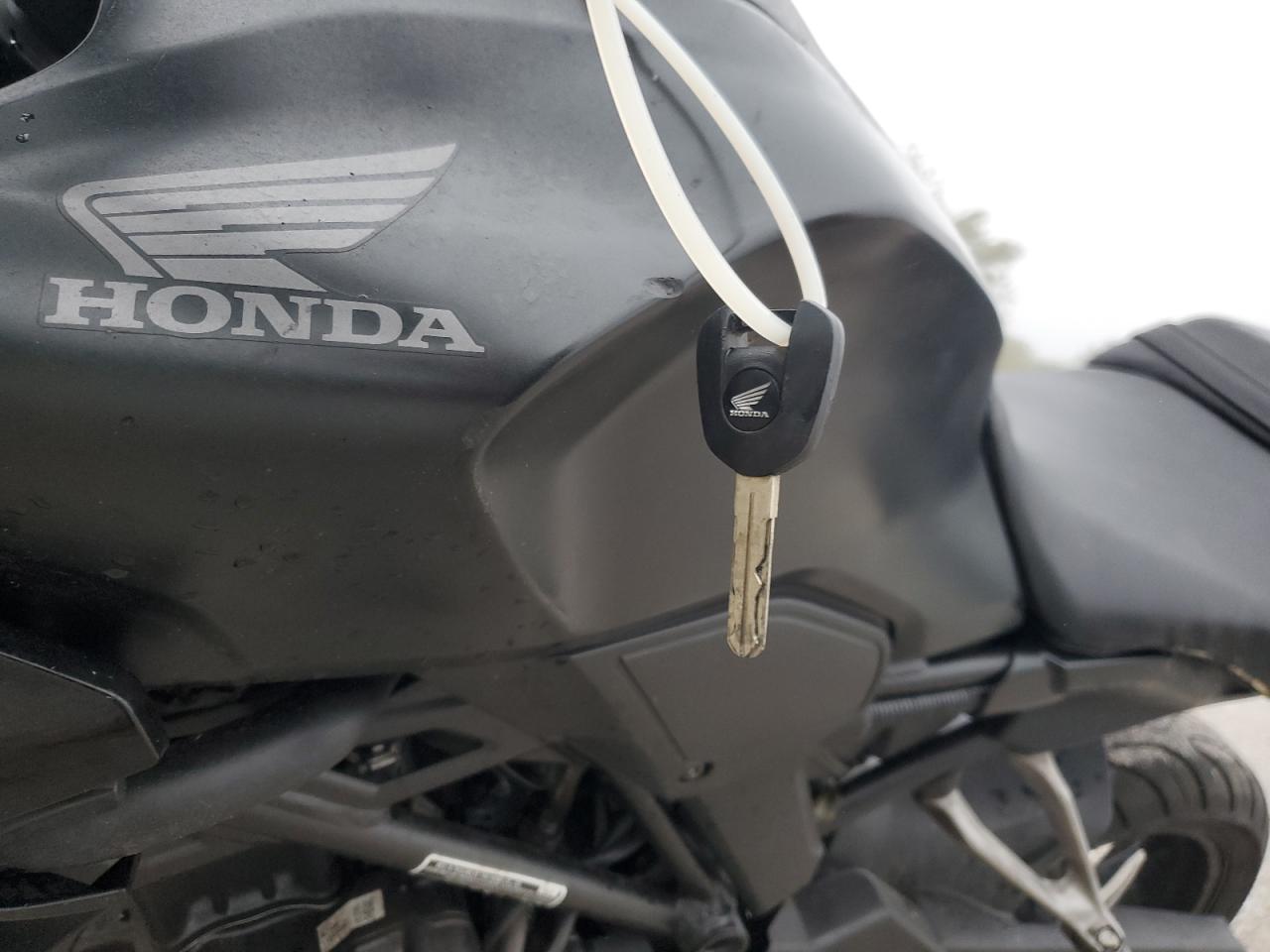 Lot #3278789653 2024 HONDA CBF300 NA