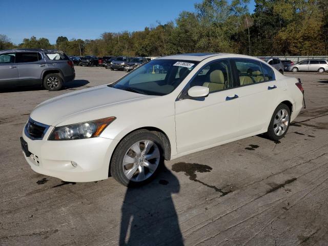 Global Auto Auctions: 2010 HONDA ACCORD EXL