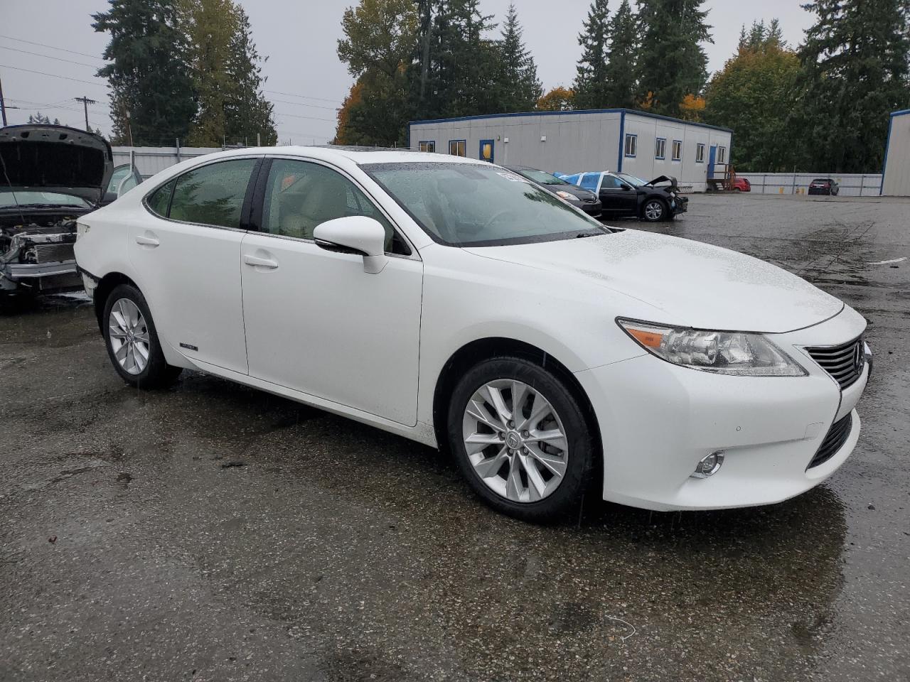 LEXUS ES 300H
