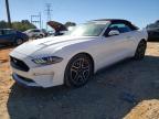 2019 FORD MUSTANG - 1FATP8UHXK5149034