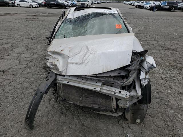 2010 HONDA ACCORD EXL - 1HGCS2B86AA006310