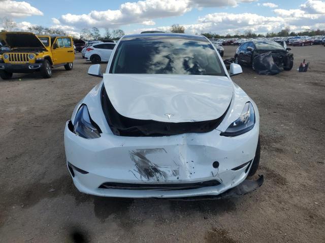 2024 TESLA MODEL Y #3282505886