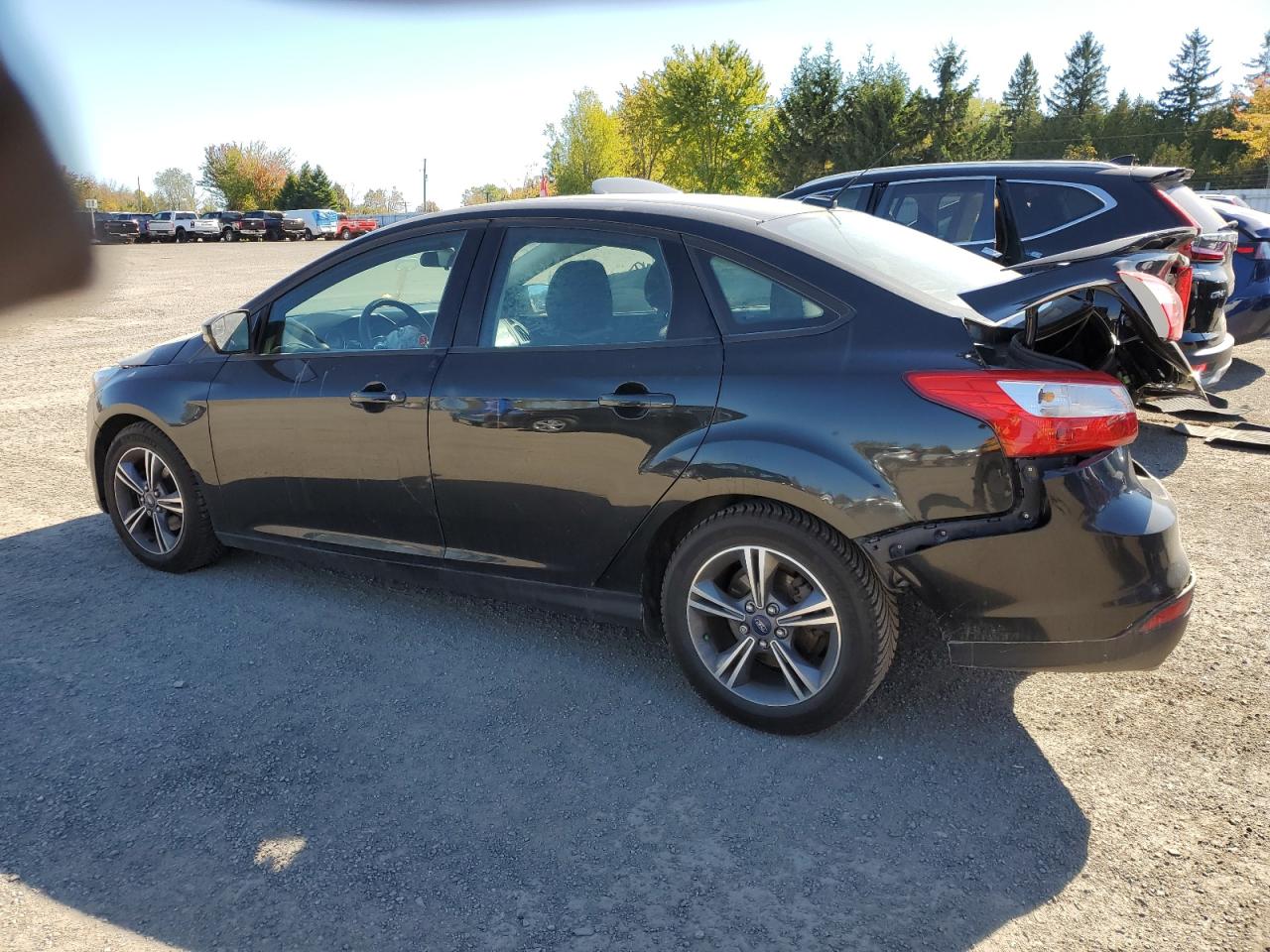 FORD FOCUS SE