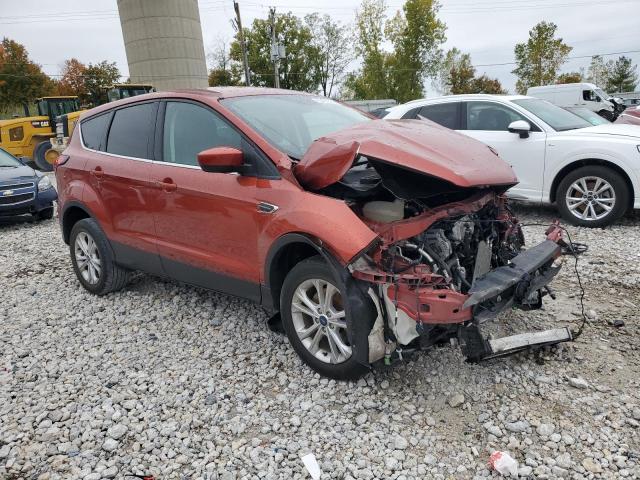 2019 FORD ESCAPE SE - 1FMCU9GD9KUC25118