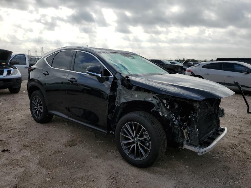 2025 LEXUS NX 250 PRE - 2T2GDCAZ7SC031820