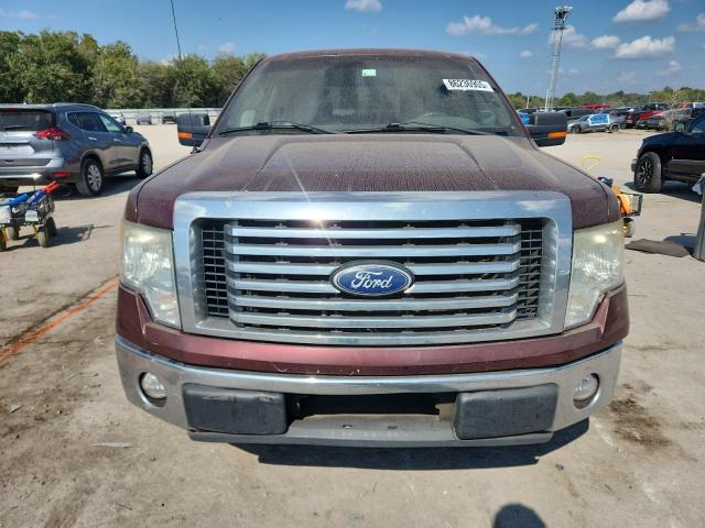 2010 FORD F150 SUPER - 1FTEW1C81AKC53605