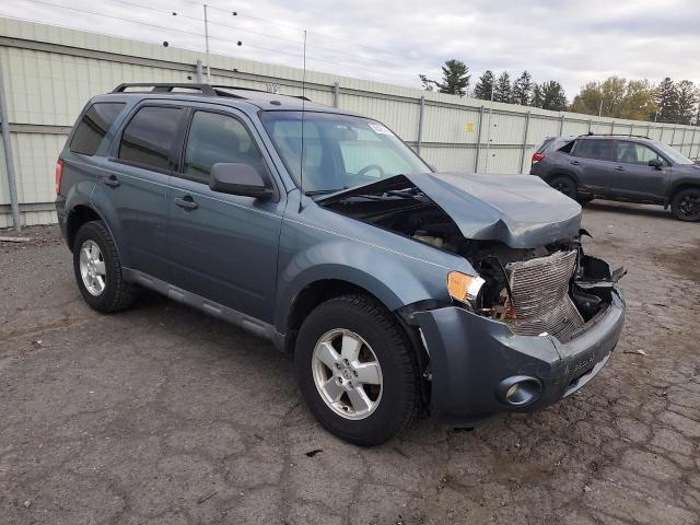 2011 FORD ESCAPE XLT - 1FMCU9DG6BKB43714