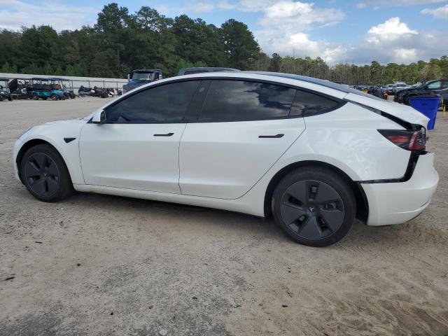 2023 TESLA MODEL 3 - 5YJ3E1EA8PF562813
