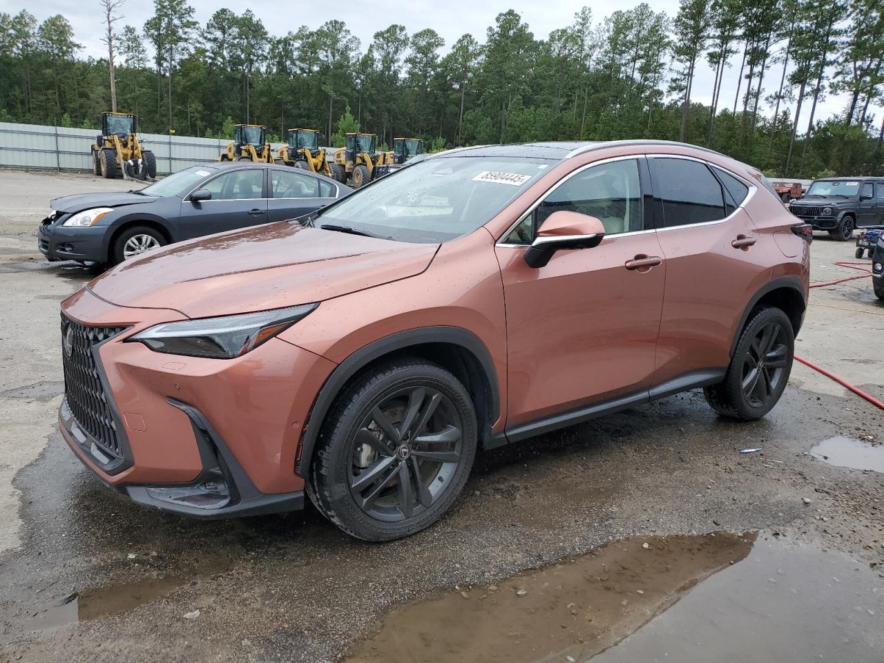 LEXUS NX 450H LUXURY