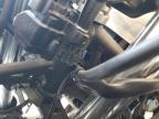 Lot #3293512418 2025 KAWASAKI EX500 H