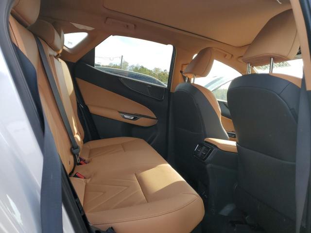2025 LEXUS NX 350H BA #3287444992