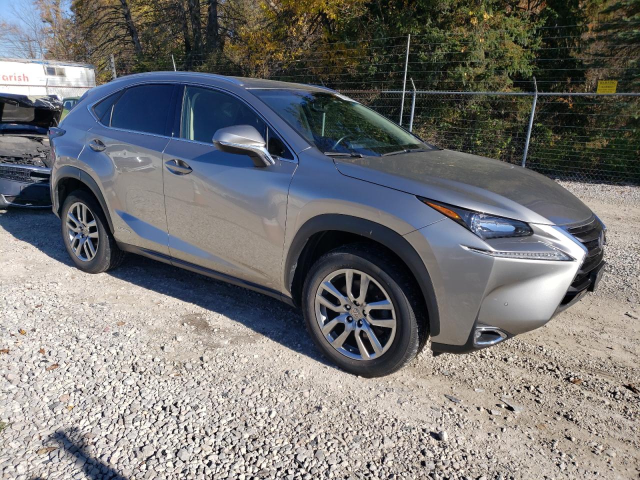 LEXUS NX 300H