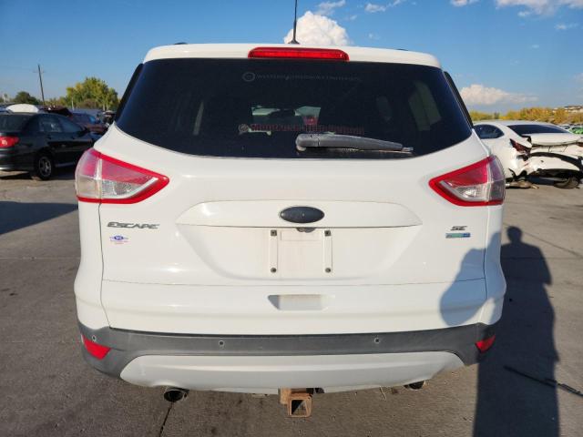 2014 FORD ESCAPE SE - 1FMCU9G91EUA13538